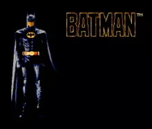 Image n° 11 - titles : Batman - The Video Game